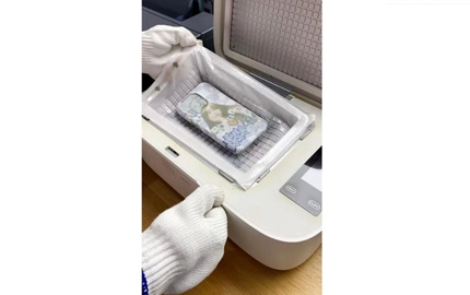 أين الأرانب ؟