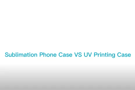 صخرة حماية القضية الفيديو